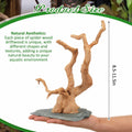 Large Aquarium Driftwood on Base 8.5-11.5 Inch Spider Wood for Reptile Tank