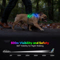 Light Up Dog Harness, LED Rechargeable Safety Dog Harness for Night Walking