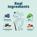 Shameless Pets Blueberry & Mint Dental Chews for Dogs, 8 Chews