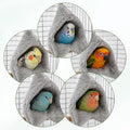 Cozy Bird Blanket Bird Corner Fleece Birds Bed Warmer(Gray/M)