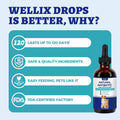 Wellix 120ml Natural Antibiotics for Cats&Dogs - Natural Herbal Supplement for Wound Care, UTI, Sneezing Treatment & Cold Relief - Cat Antibiotics Chicken Flavor for All Ages & Breeds