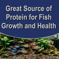 Small Fish Granules- Slow Sinking Granules that Provide Balanced Diet for Guppies, Swords, Platties, Barbs, Mollies, Tet
