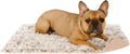 Furhaven Waterproof Throw Blanket for Dogs & Indoor Cats, Washable - Shaggy Plush Calming Long Faux Fur & Velvet Dog Bla