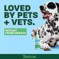 TropiClean Clean Teeth Gel for Dogs | Dog Dental Care | Dog Toothpaste | Breath Freshener | Easy Teeth Cleaning | Made in the USA | 2 oz