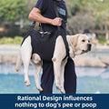 Full Body Lift Harness for Dogs,Canine Support Rehabilitation Dog Carrier Slings with Handles,Adjustable Lifting Straps 
