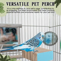Skyygemm 2 Pieces Parrot Toy Bird Chew Cage Accessories Flat Perch Bird Paw Grinding Stand Parrot Cage Playground for Macaws, Small Parakeets, Conures, Budgies, Finches Conure Cockatiel(Small)