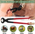 15 Inch Professional Horse Hoof Nipper Heavy Duty Hoof Nipper Farrier Tool