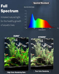 Pawfly 5 W Aquarium LED Light 8 Inch 24/7 Fish Tank Light with Full Spectrum Brilliant White Blue Red Green Lights Multi