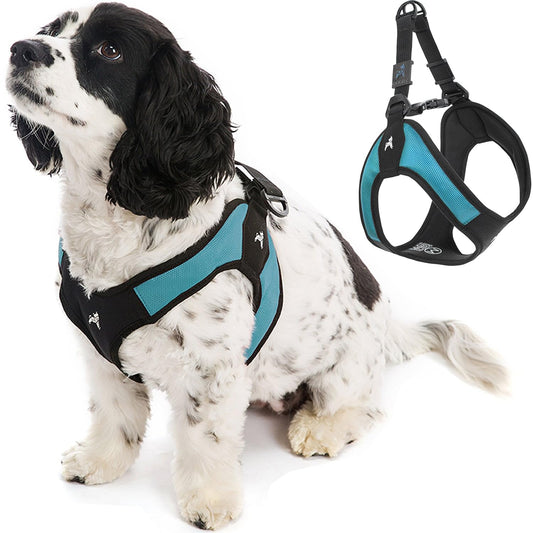 Gooby - Escape Free Easy Fit Harness, Small Dog Step-in Harness for Dogs that Like to Escape Their Harness, Turquoise, Small