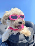 LESYPET Dog Goggles Small Breed, Cute Puppy Sunglasses with Foam Padded Inside, UV Protection Pet Sunglasses for Cats Pu