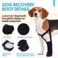 ROZKITCH Dog Shoe for Bandages, Boot for Protecting Paw Injuries