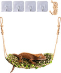 Reptile Hammock, Handmade Moss Bridge for Small Reptiles