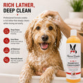 Warren London 2 in1 Pet Shampoo and Conditioner for Dogs, Puppys, & Cats | Best Dog Shampoo and Conditioner for Dry Itchy Skin | Dandruff Shampoo for Cats & Dogs | Made in USA | 17oz