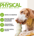 Healthy Dogma Allergy-Sensitive Dog Food & Natural Chews Bundle: PetMix Dehydrated Dog Food (Chicken Dinner, 2 lbs) + Lo
