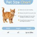 CAREMYWORLD Cat Door Interior Door - Snow White Clean Invisible, Large No-Flap Pet Door for Cats Up to 22 LBS, Easy DIY Setup, No Training