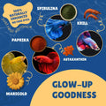 Betta Boost Pops | High-Protein Betta Fish Food Pellets Made in USA | Marine & Insect Protein | Floating & Slow-Sinking 