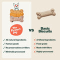 The Farmer's Dog Human-Grade Crunchy Dog Biscuits