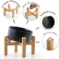 Petygooing Black Raised/Elevated 15°Slanted Ceramic Dog Bowl for Small Breeds,Tilted Anti Slip Pet Feeding Bowl,Food Wat