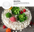 BESPORTBLE Clear Fish Bowl Vase Bubble Bowl Wide Mouth Flower Vase Round Shallow Planter Terrarium Aquatic Plant Pot Daf