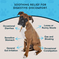 Animal Essentials Slippery Elm - Slippery Elm Bark Anti Diarrhea Drops for Dogs and Cats, Organic Herbal Extract for Healthy Gut, Digestive & Throat Support, Helps Acid Reflux, Liquid Formula- 1 fl oz