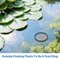 10 PCS Aquarium Floating Plant Barrier, 5 Sizes Fish Feeding Ring Black