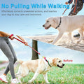 Prong Pinch Collar for Dogs,Dog Training Collar for Small Medium Large Dogs