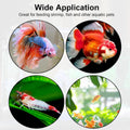 2PCS Shrimp Feeding Dish, Shrimp Feeder Dish with Suction Cups, Clear Fish Tank Feeder Bowl, Acrylic Fish Tank Feeding B
