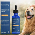 NAD+ Formula, Liquid Dog Supplement for Senior Dogs
