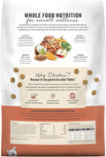 The Honest Kitchen Whole Food Clusters Grain Free Beef Dry Dog Food, 10 lb Bag