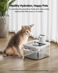 DownyPaws 6 Packs Replacement Filters for Battery Operated Cat Water Fountain DPWFP6, 3 Months Set of Replacement Filters