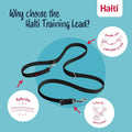 Halti Headcollar (Size 4, Black) & Training Leash (Size L, Black) Bundle