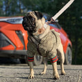 HQREA Dog Hoodie Luxury Winter Small Dog Jacket Clothes Classic Designer French Bulldog Teddy Pug Puppy Clothes(S)