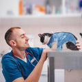 Cat Recovery Suit for Male and Female Surgical Post Surgery Soft Cone Onesie Tie Dye Cats Shirt Clothes Neuter Licking P