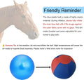 18" Jolly Ball for Horses