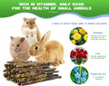 Abizoo Bunny Chew Toys for Rabbits,18PCS Natural Apple Wood Sticks with Petals Good for Chinchillas Guinea Pig Hamster T