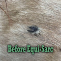 Equine Essentials Equi-SARC | Sarcoid Cream for Horses | Topical Skin Support for Sarcoids, Warts & Blemishes | Gentle, 
