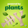 Benebone Plant-Based Fishbone Toy for Modest Chewers, Real Salmon