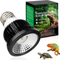 High Intensity UVB Reptile Light Bulb 5.5W 5.0 Full Spectrum UVA UVB for Reptiles simulating Sunlight Promote Synthesis 