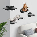 Cat Wall Shelves Furniture Set of 6, Wooden Cat Steps for with Scratching Pad, Sturdy Floating Climber Ladder Stairs, Ca