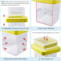 Floating Aquarium Breeding Box with Hatchery Box and Isolation Box