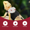 Bearded Dragon Lizard Hoodie Leash Suit Reptile pet Outdoor Chest Harness Chameleon Squirrel Leash Hooded Clothes Suitab
