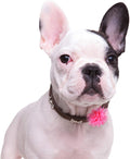 WILLBOND 30 Pcs Dog Collar Flowers Bulk Dog Collar Charms Pet Flower Bow Ties for Cat Puppy Grooming Accessories, 30 Colors