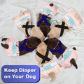 Nuanchu 2 Pcs Dog Suspenders for Diapers Female Male Pet Diaper Harness, M