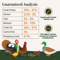 Natural Black Soldier Fly Larvae for Chickens, 85X More Calcium Than Mealworms-High Protein Grub Food Chicken Treats for