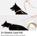 Hands Free Dog Leash Adjustable Versatile Crossbody Waist, Black