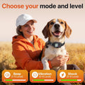 Wireless Dog Fence System, Dog Collar Electric Fence for Dogs