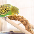 Kigeli 6 Pcs Wood Bird Ladder for Cockatiels, Small Hanging Bird Ladder for Cage, Parrot Step Hanging Climbing Toys for Pets Parakeets, Cockatoo and Lovebirds