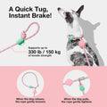 VETRESKA Hands-Free Dog Leash, 8FT Flora Rope Leash for Medium Large Dogs