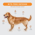 FirstAct Plus Flea Treatment for Dogs, Small Dogs 6-22 lbs, 3 Doses, Same Active Ingredients as Frontline Plus Flea and 