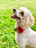 PET SHOW Valentines Small Dogs Flower Charms Slide Collar Accessories for Medium Large Dogs Cat Puppies Rabbit Pigs Collars Bows Grooming Supplies